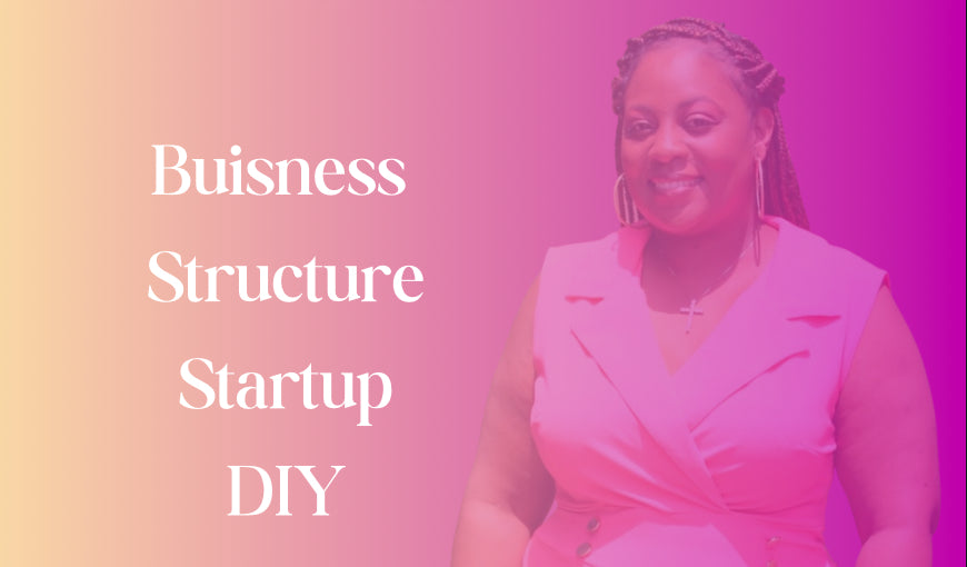 Business Structure Startup DIY